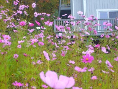 Ornamental Garden New Milford CT