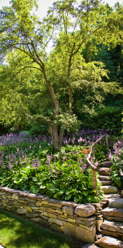 Bridgewater CT Lawn Care