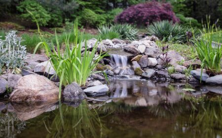 Custom Water Garden Small Pond